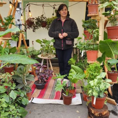 El Rincón de Ely — foto 3