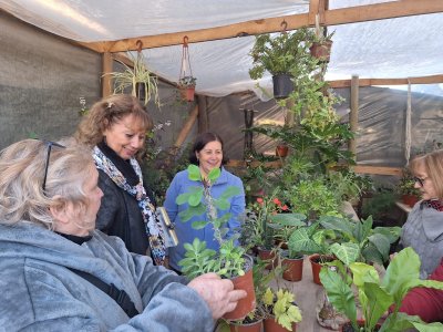 El Rincón de Ely — foto 1